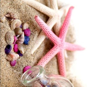 Meet your Posher, Samara